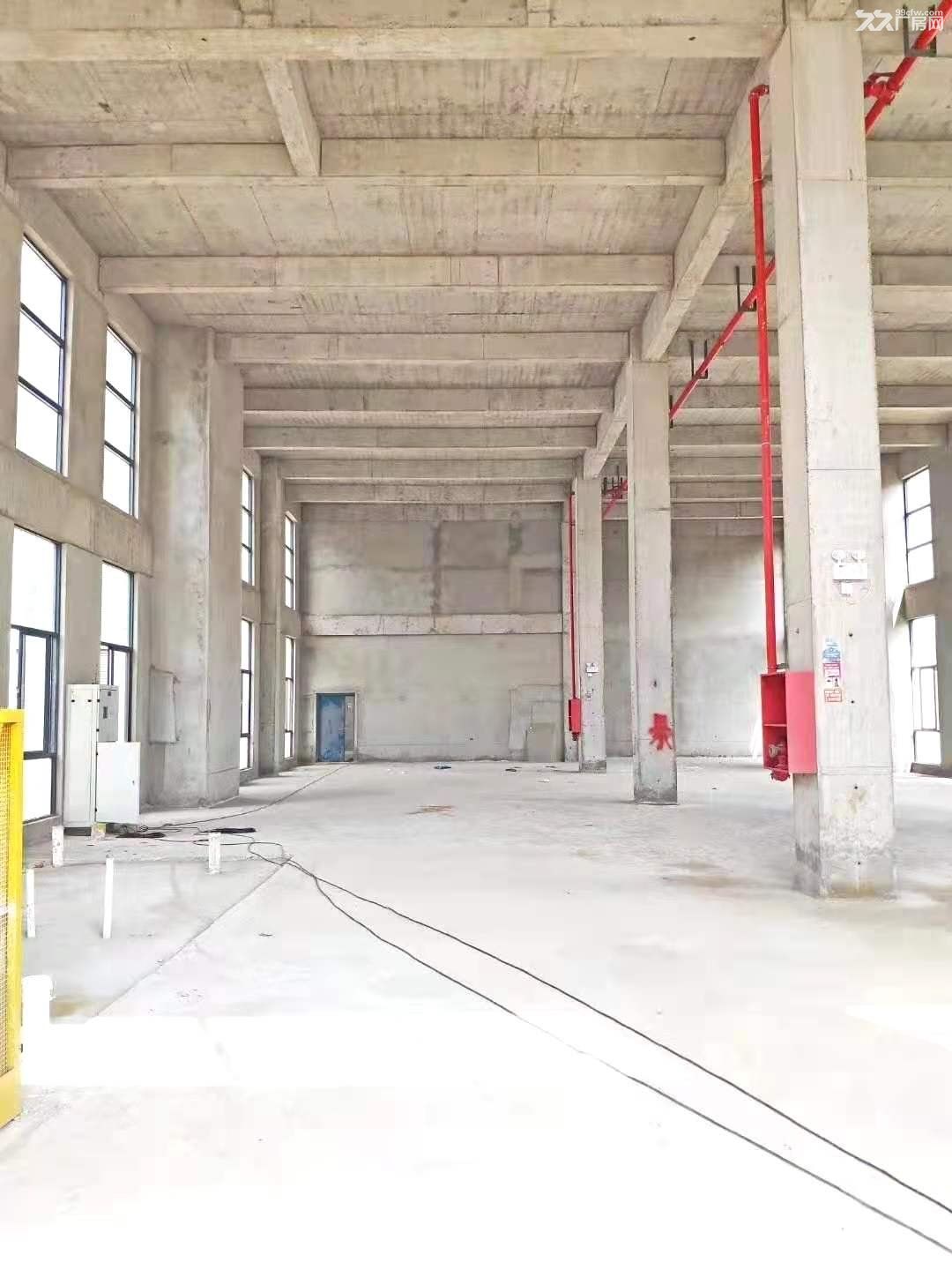 南京江北新区长芦街道玉带工业区稀有2层厂房3800元一平招商 - 4