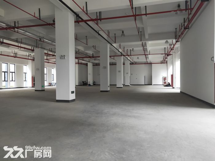 大张江康桥工业园,300平米28500平米,医药研发类可环评
