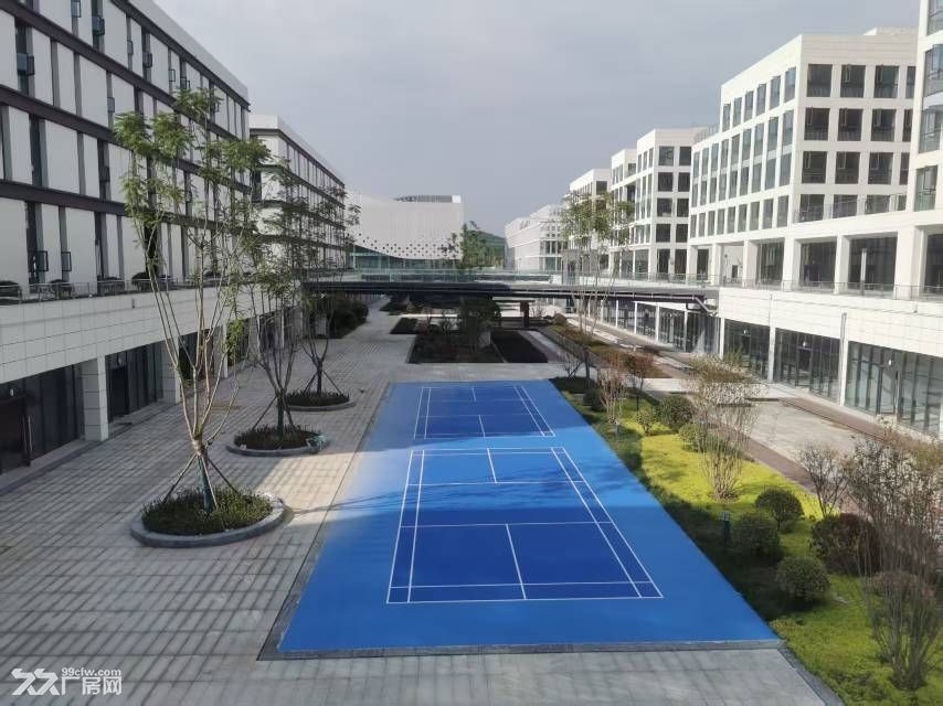 绵阳经开区新建标准厂房、办公室 出租，价格优惠，政策配套完善 - 3