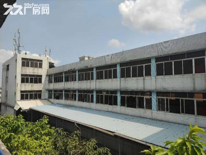 南沙东涌镇独院标准厂房,4600平,带宿舍,空地大,可办环评,租金便宜 - 3