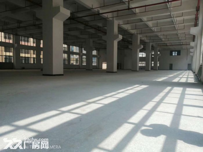 7米高 官井头嘉辉对面标准一楼厂房出租3200平 可分租