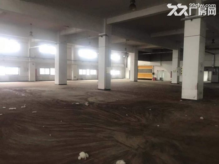 南五环高度7米面积6000可分租价格便宜有坡道直接到二楼 - 5
