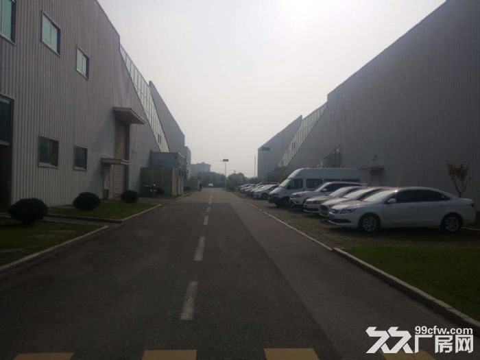 锦溪国土10亩2栋厂房5300空地3亩售 - 8