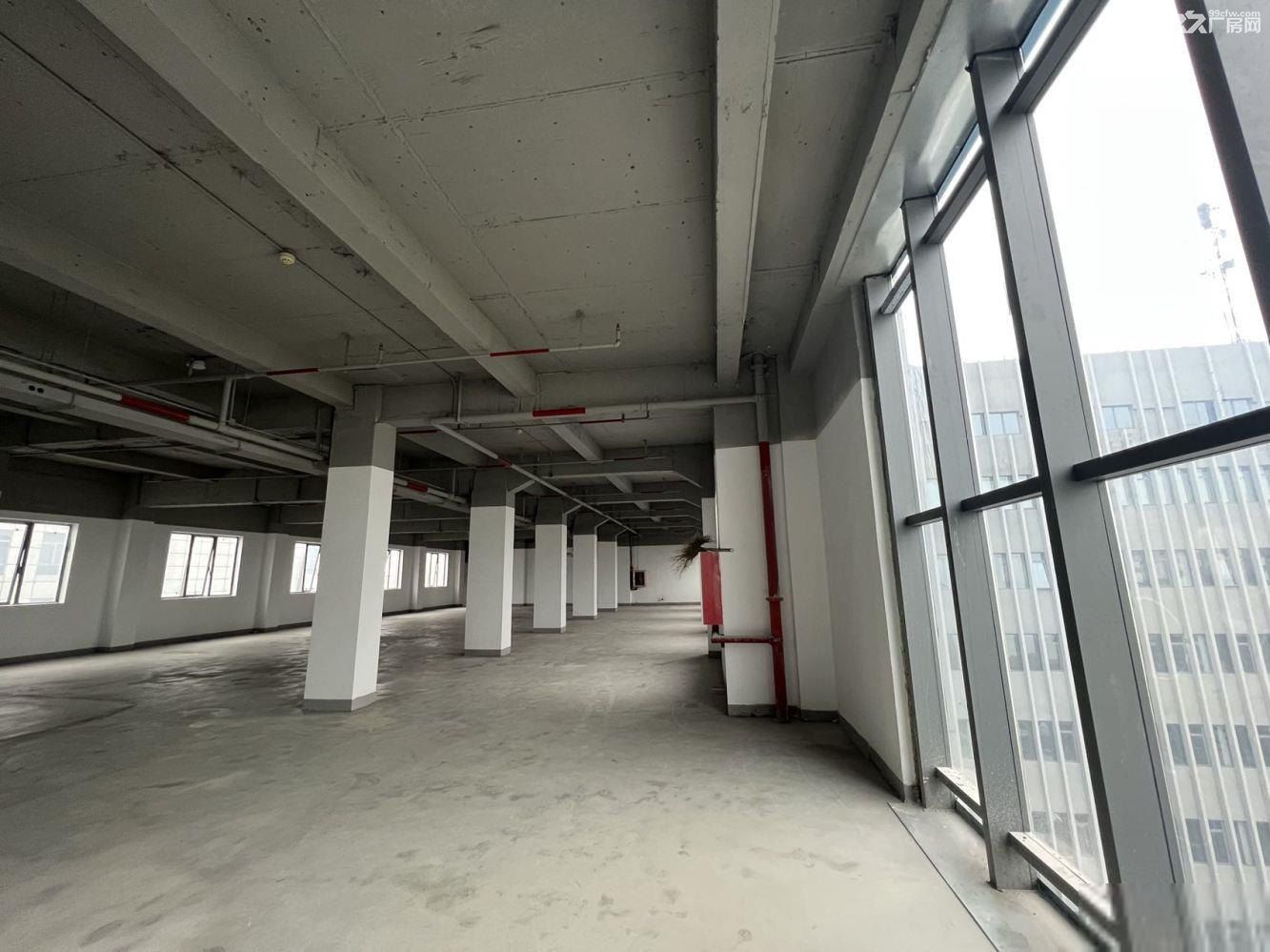 金桥自贸区新出研发办公园区104板块，精装交付，上下水可分割 - 7