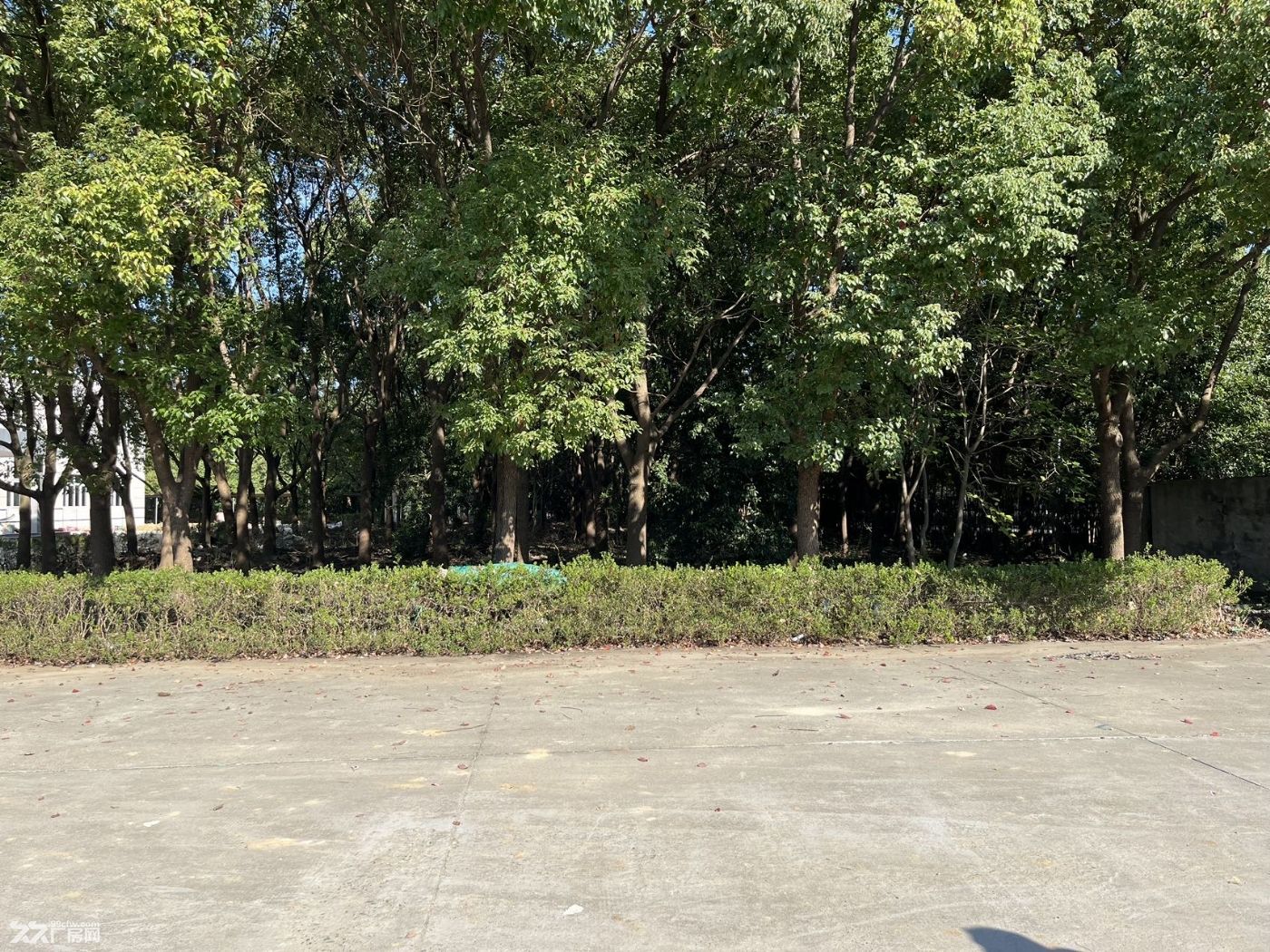 友谊联华路独门独院3600平方厂房出租 - 8