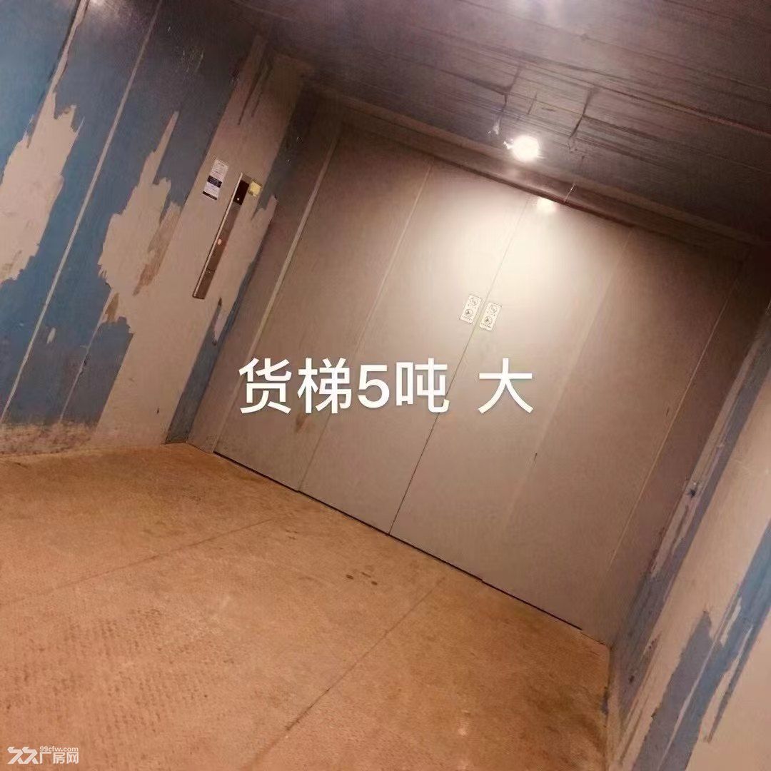 闵行马桥厂房仓库出租，消防丙一类，带喷淋，可存放普通化学品 - 4