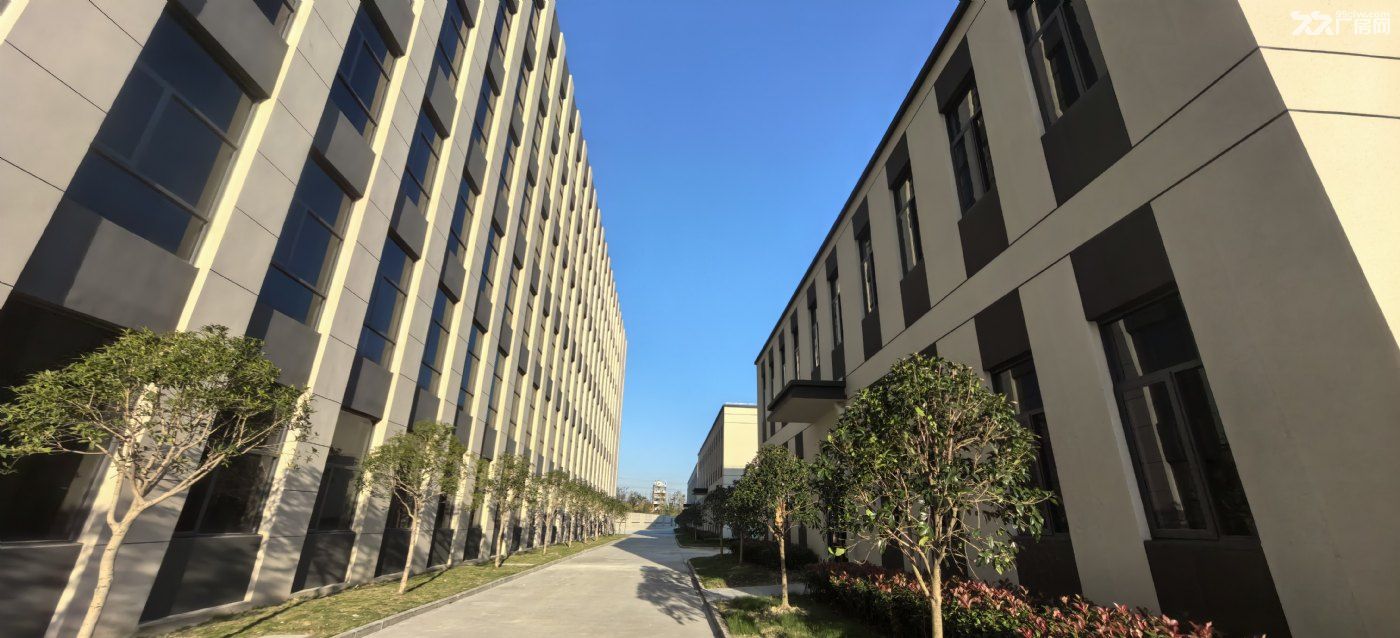 宝山城工园新建厂房1000-5000平业主直租 - 4