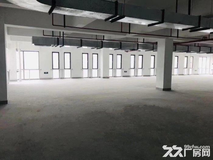 上海外高桥自由贸易试验区全新独立园区整幢招租