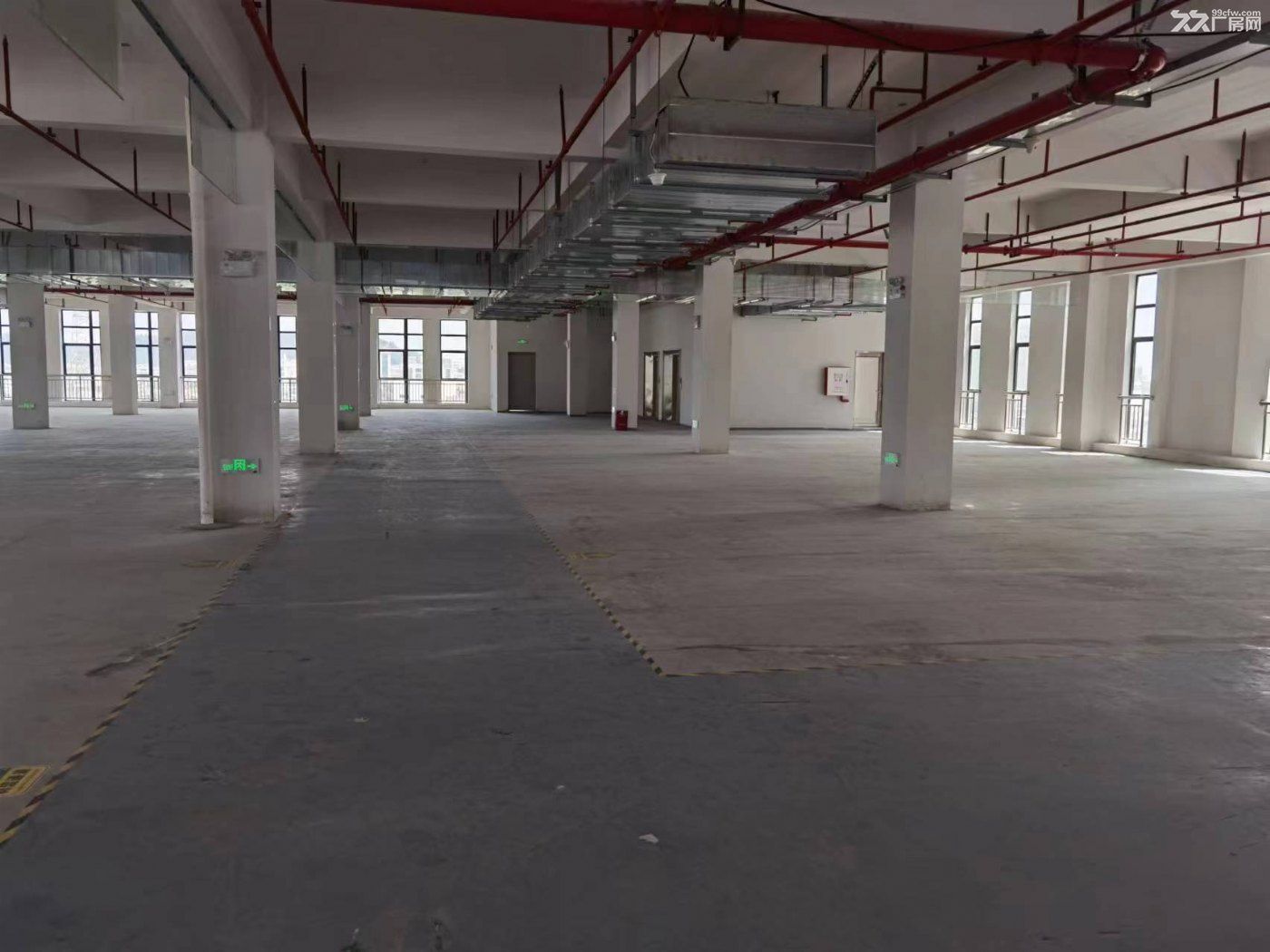 江门市高新区厂房出租,厂房办公配套齐全,交通便利,形象良好 - 2