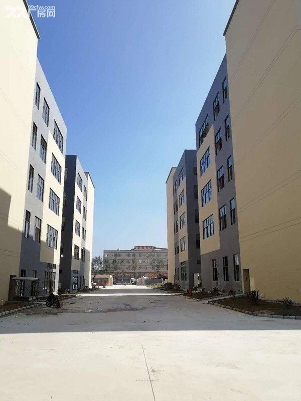 惠州龙门县大型工业区20万平方标准厂房低价出租 - 4