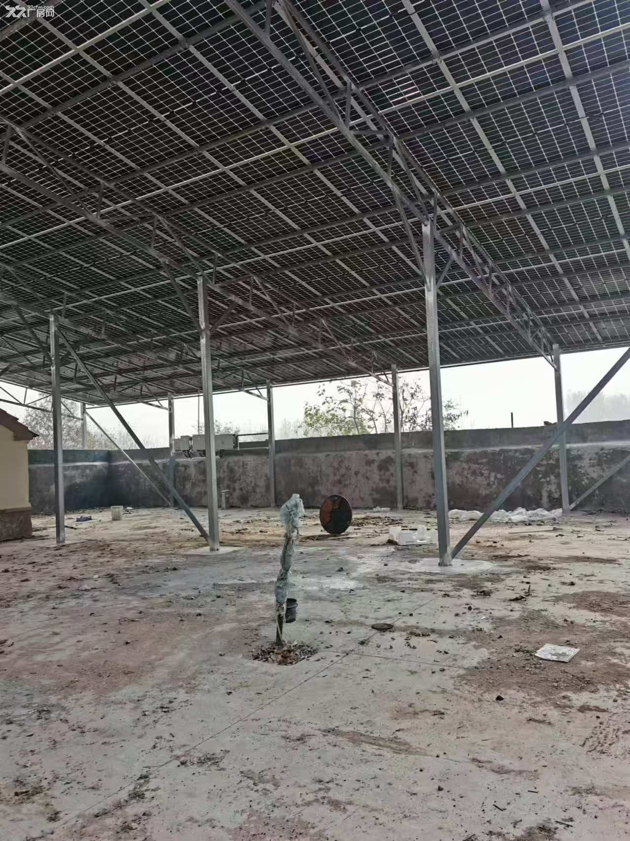 厂占地面积900平方面车间700多平方米，有独立变压器，有自来水，机井，交通方便 - 4
