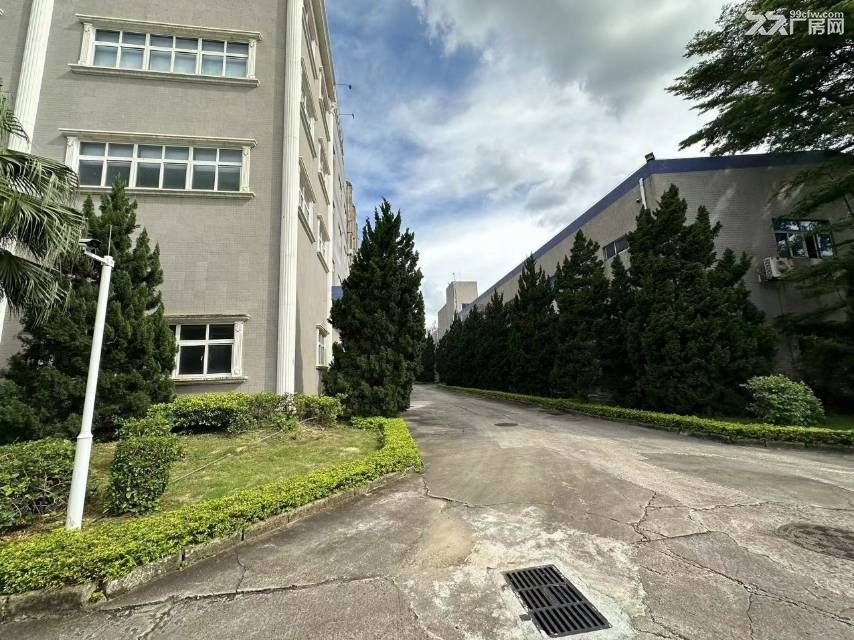 光明区新湖街道中山大学附近独门独院厂房5000平 - 4