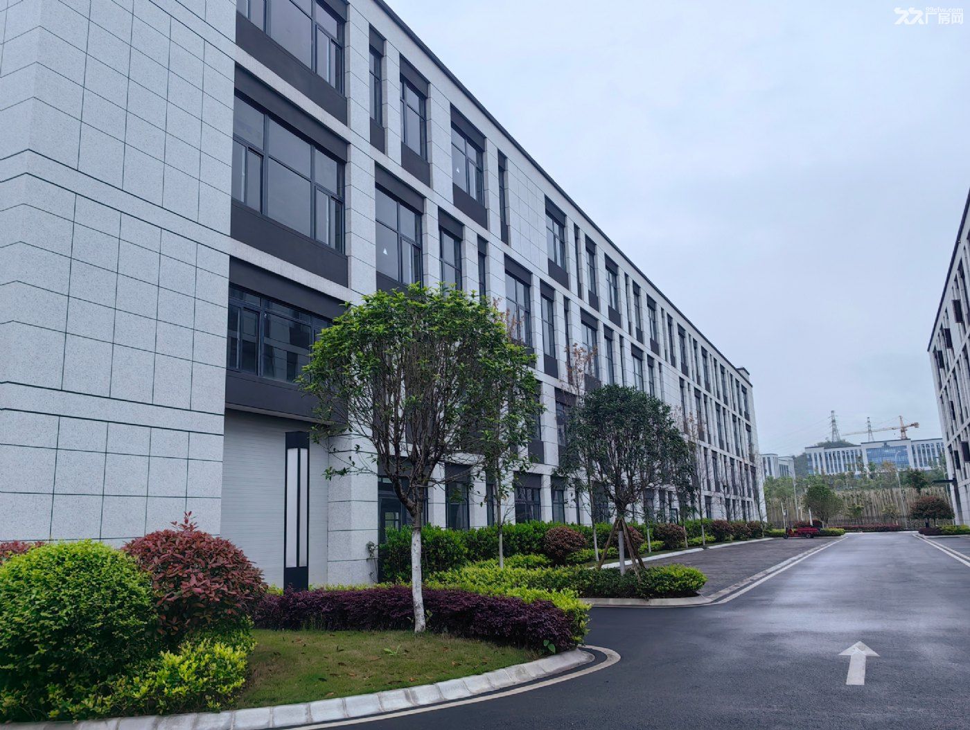 重庆京东方旁,大平层厂房500㎡起租 - 3