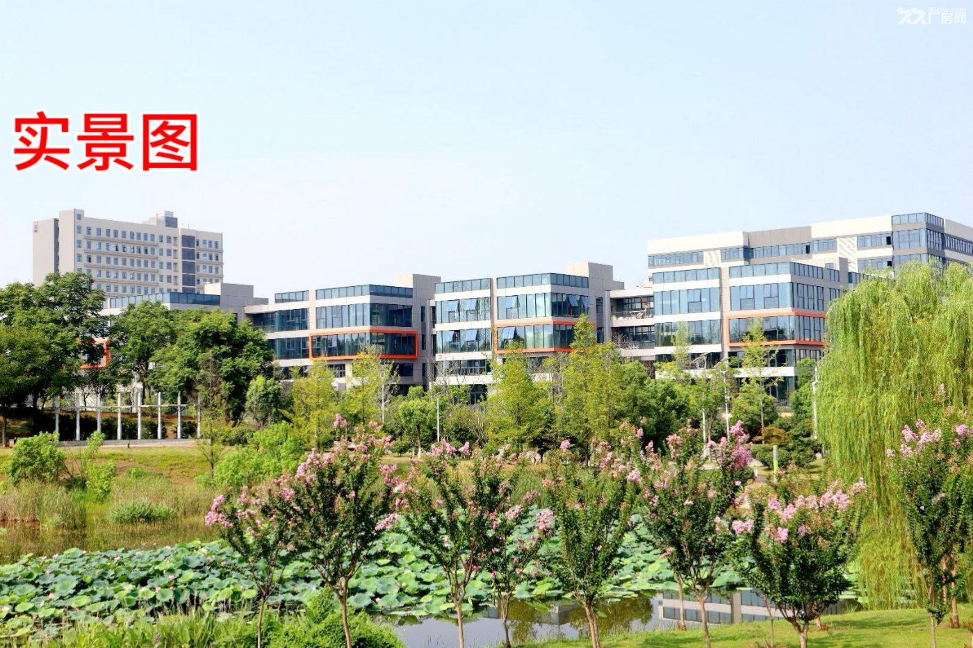 长沙最好品质园区 全新厂房出售 - 7