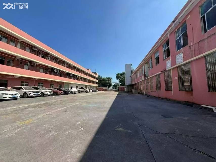 深圳市松岗大田洋标准独院出租
