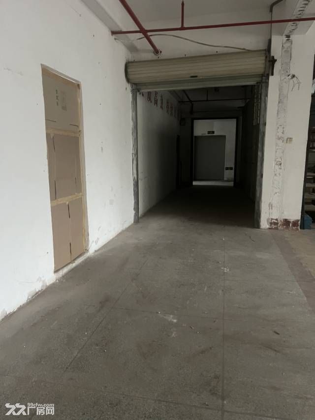 思明区龙山东路13号220平方的通用标准厂房 - 5