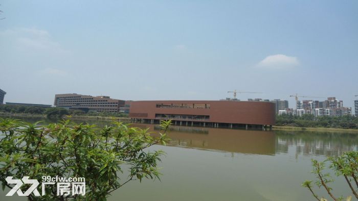 东莞市塘厦镇40000平米钢架厂房出租 (可分租) - 2