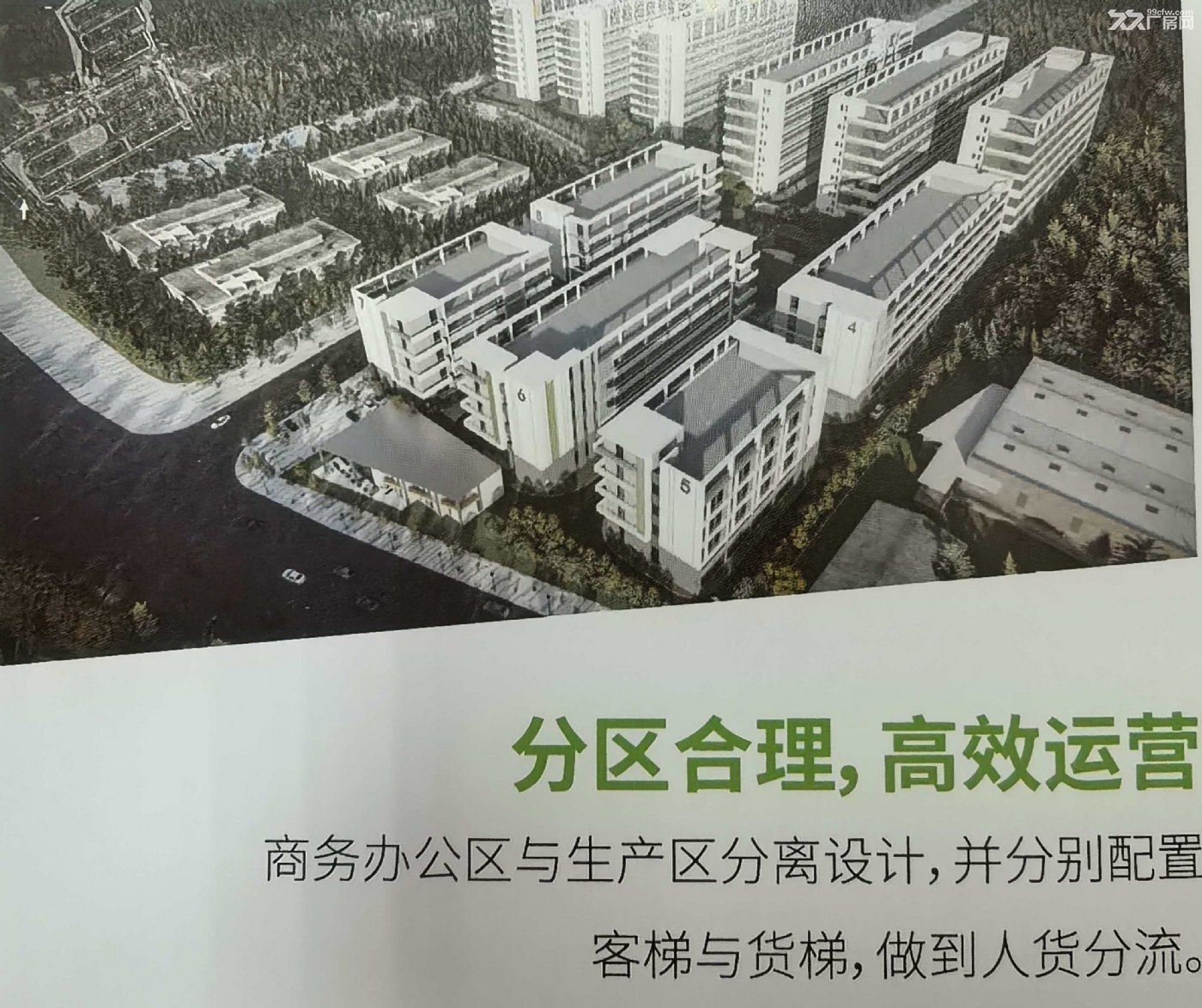 现楼厂房出租 交通便利 政策优惠 可分割 国有土地产权 生活配套齐全 优惠中 - 4