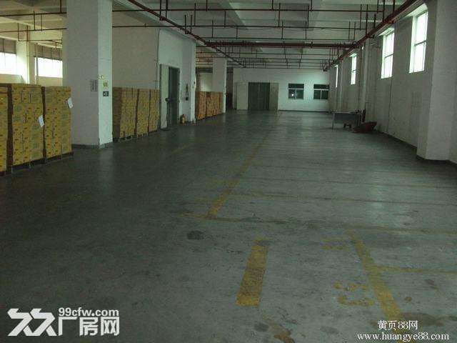 个人.淳化新建单层3000平米钢结构仓库 - 2