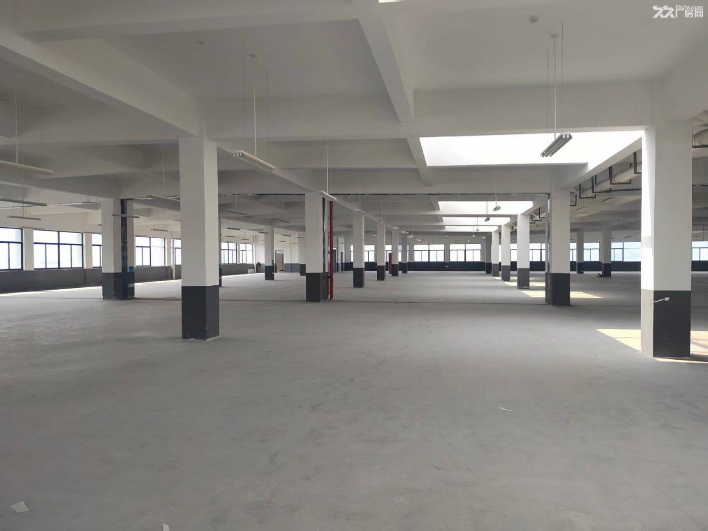 独栋新园区招商一万方，电商组装办公仓储展厅轻加工等 - 2