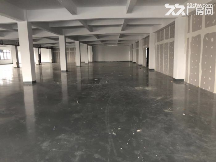 金汇业主直租2500平大小好分割形象高大上有环评 - 3