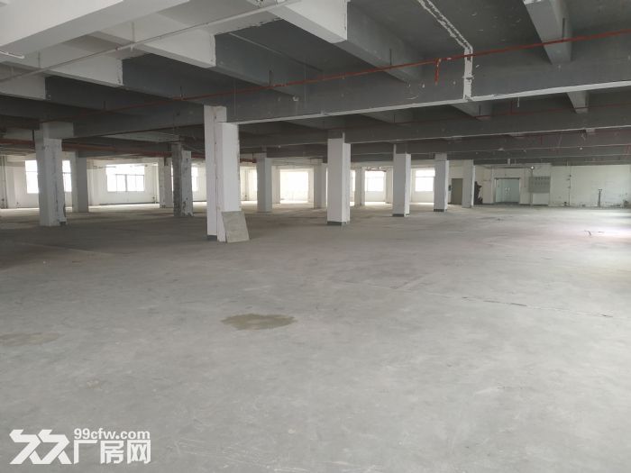 西丽大学城地铁口 创新高新园一楼370平厂房办公室直租 - 5