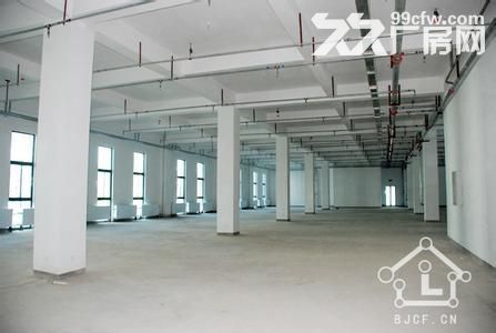 (出租) 个人.江宁1到3楼21000平米独栋厂房 - 4