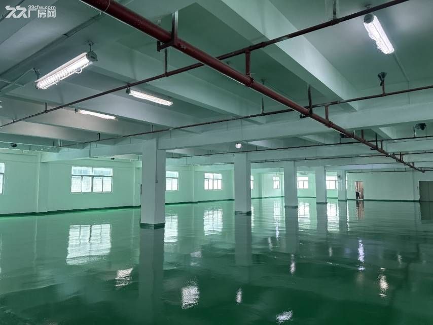 寮步靠石大路新出原房国有双证超大空地标准独院 - 5