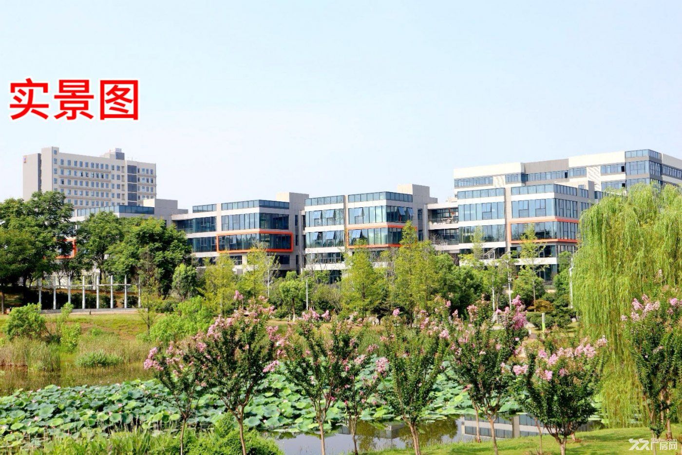 长沙经开区三层品质独栋厂房出租出售 - 5
