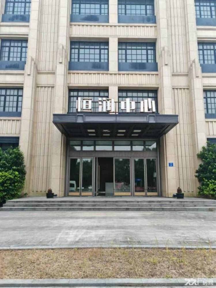 外高桥自贸区保税区/厂房/仓库/国企直租 - 5