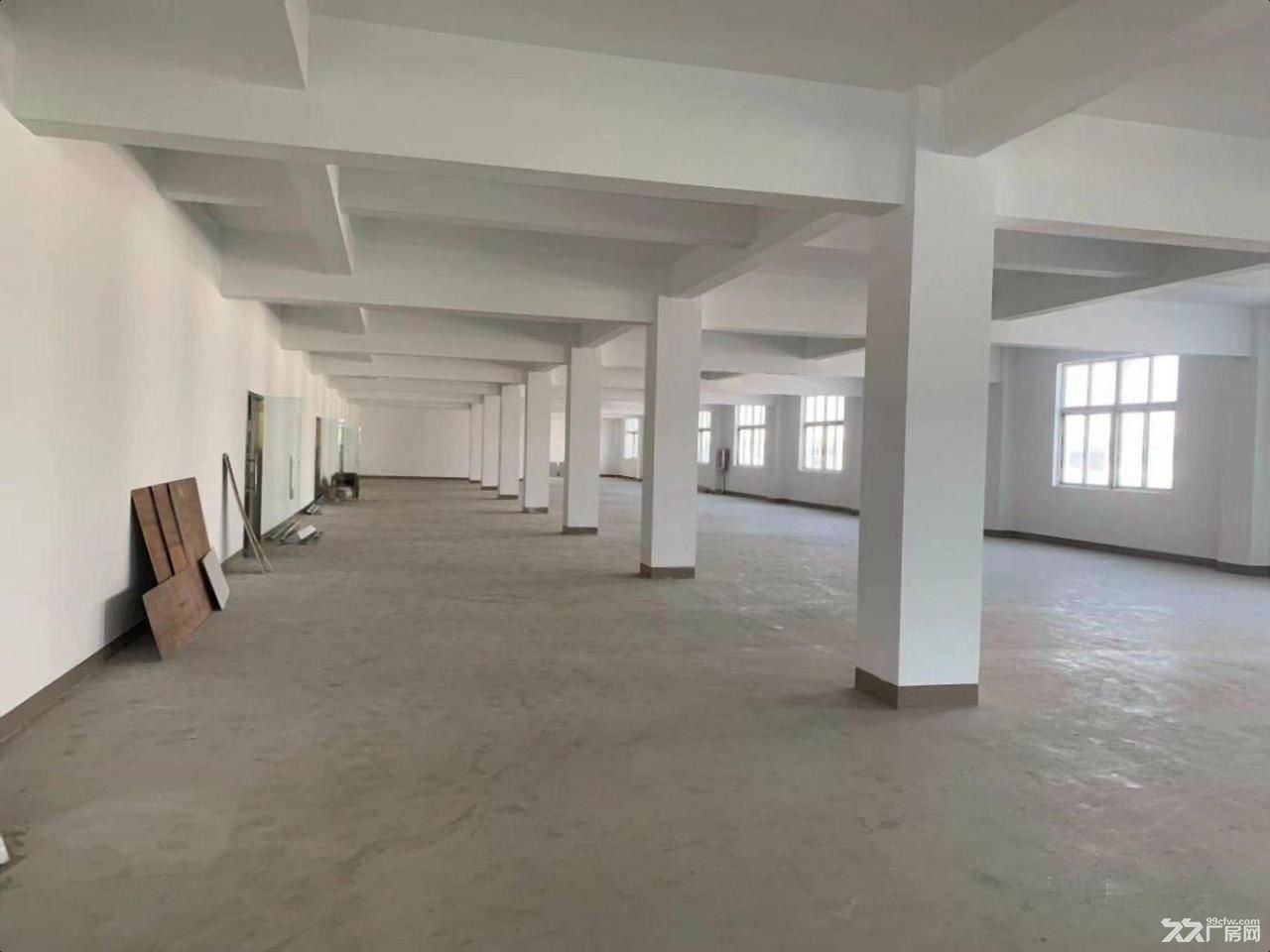 嘉定-安亭 于塘路/宝安公路(路口) 正规 不后悔的选择 - 2