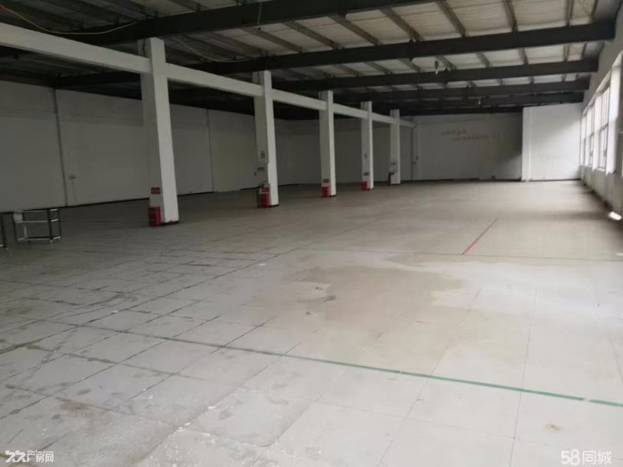 北碚蔡家个人厂房1300精装修 - 5