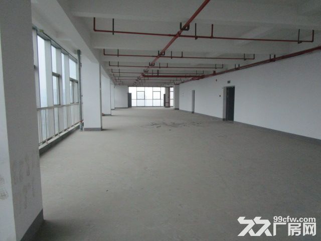 西兴厂房出租  速抢    先到先得 - 2