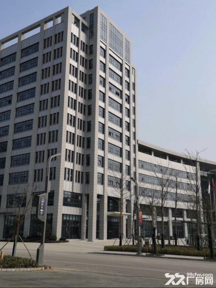 徐州高新区高标准厂房可分割出售 - 4