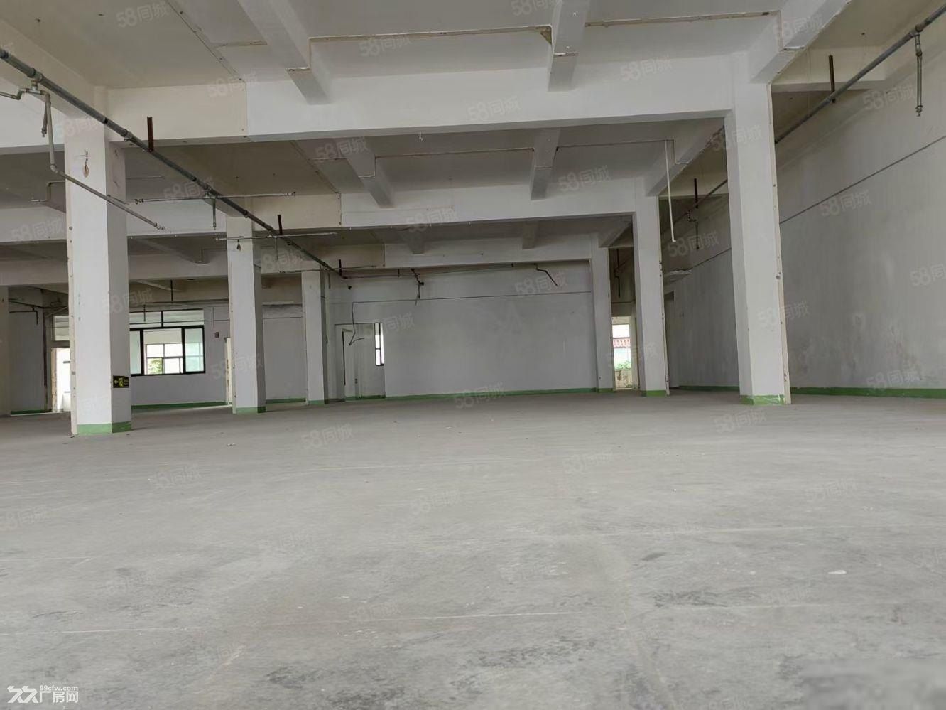 康桥秀沿路独门独院1万平米多层厂房出租,可分割加工,汽修仓储 - 4