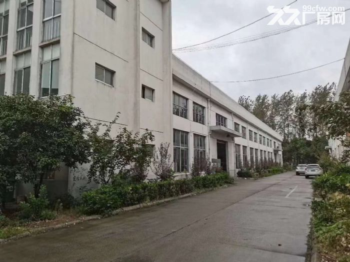 AA(新出)独栋单层5000平标准厂房 可架行车 可分租