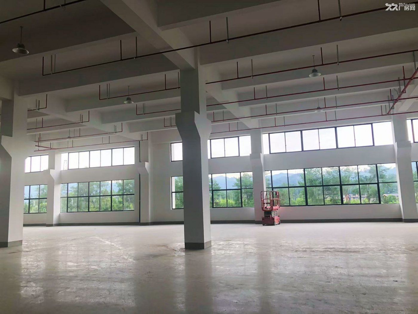 新建3万多平米厂房,可整租亦可分租,灵活适配企业需求 - 5