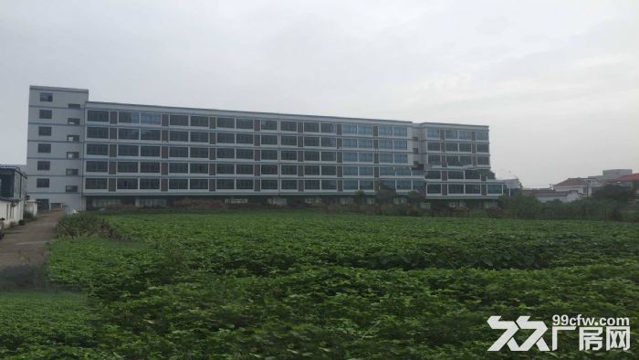 东莞市清溪镇12000平方独院厂房出售(国有证件)3600万 - 2