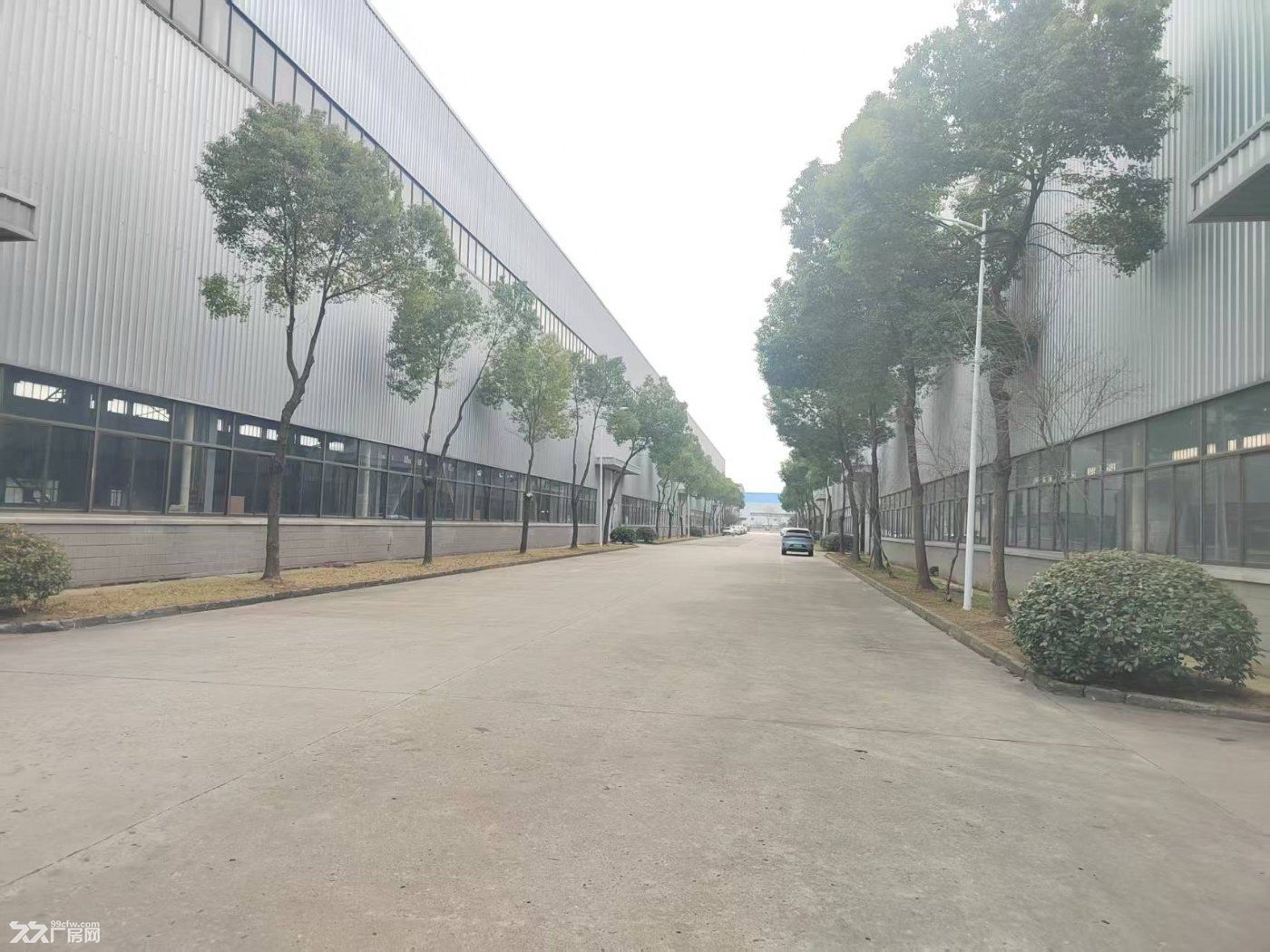 V滨江独栋单层8800平高10米有行车 电1600kv - 5