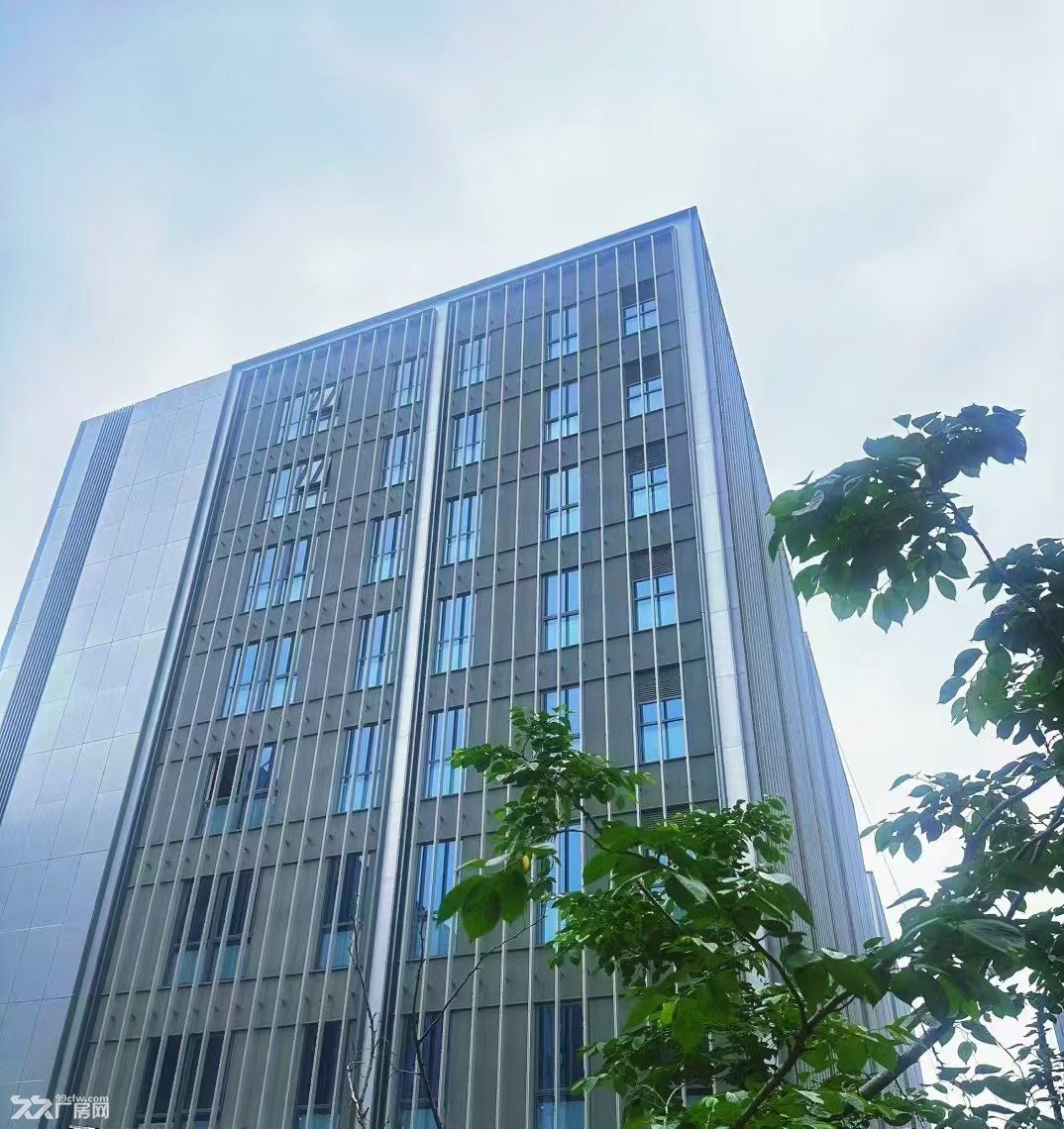 紫金山脚下独一档位置 金马路地铁站旁 实景现房 产权可分割 - 2