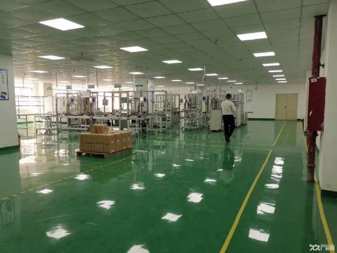 深圳沙井原房东红本独院23000平厂房仓库出租 - 4