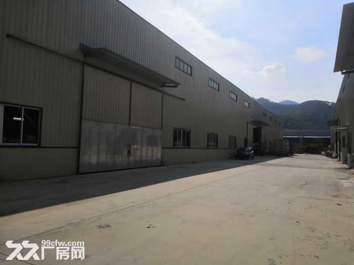 新会司前工业园厂房1000平方单一层钢结构出租 - 3