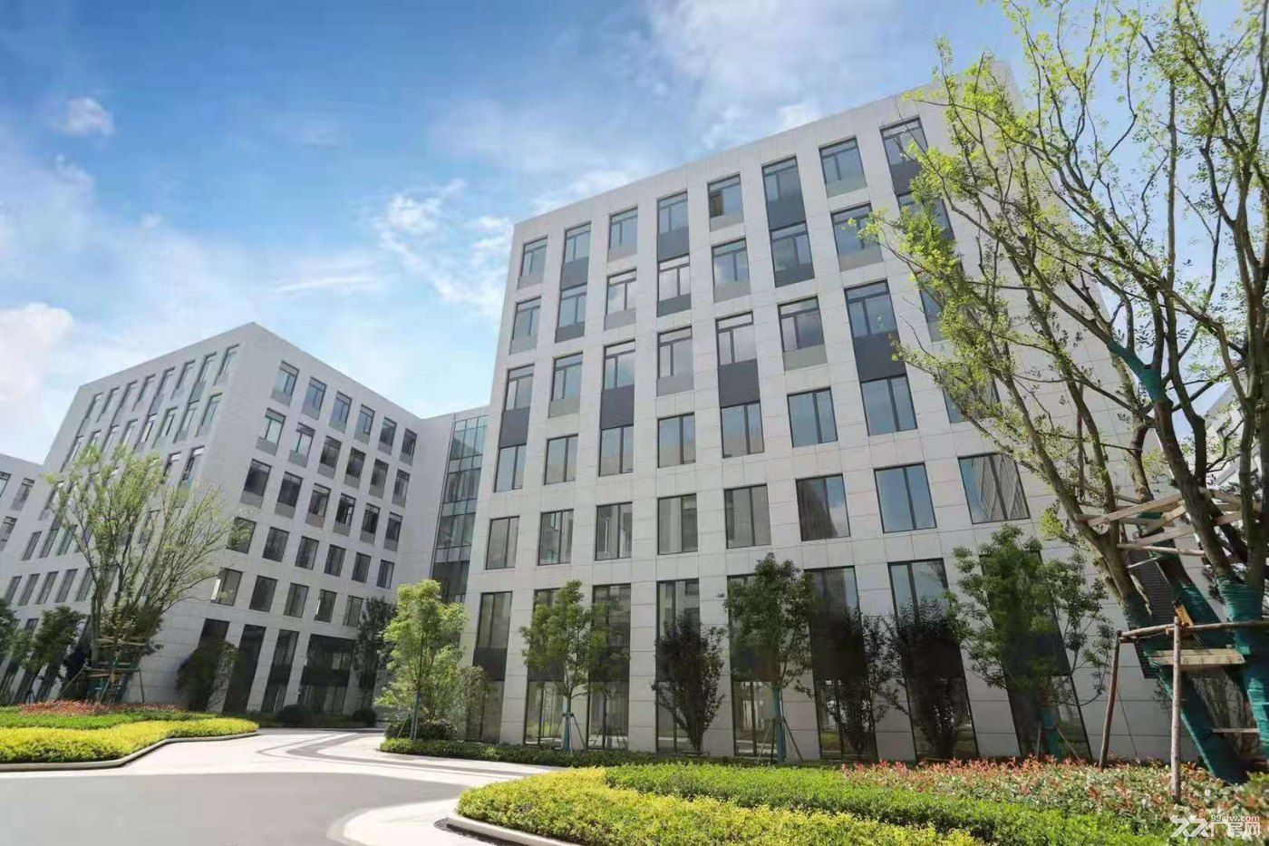 开发商直售 稀缺资源 独立产权 全新标准工业厂房出售 高速口 - 5