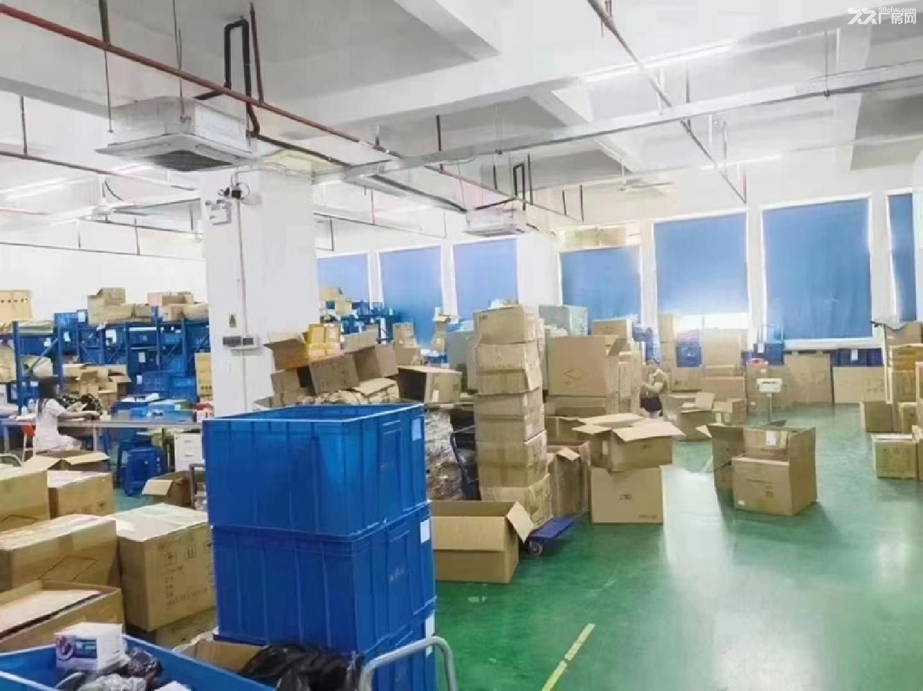 深圳龙华大浪原房东整层3000平精装办公室车间厂房出租 - 4