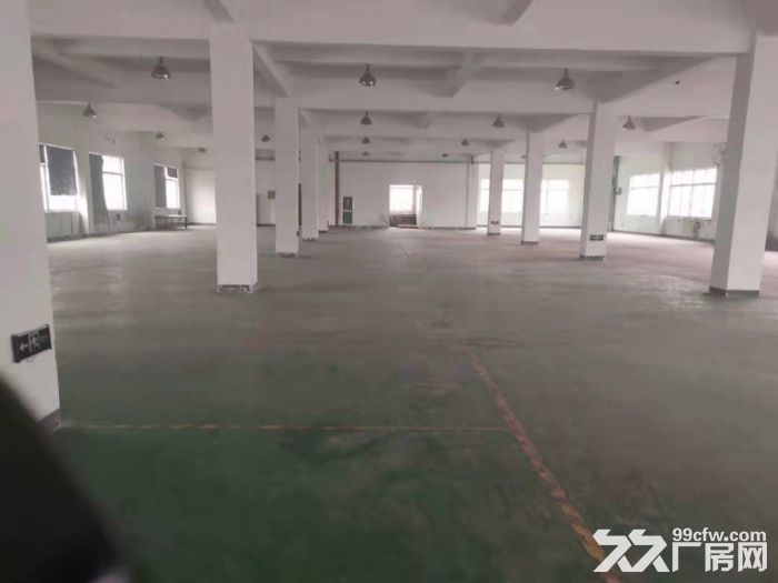 稀缺厂房2129平50年产权厂房有环评可注册开发商直售 - 3