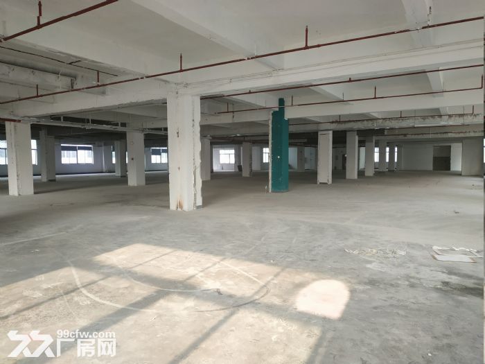 西丽大学城地铁口 创新高新园一楼370平厂房办公室直租 - 2