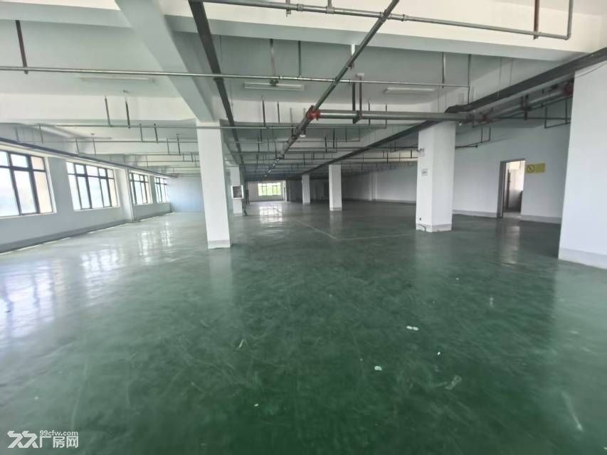 新站区标准厂房办公轻加工920平可分租 - 2