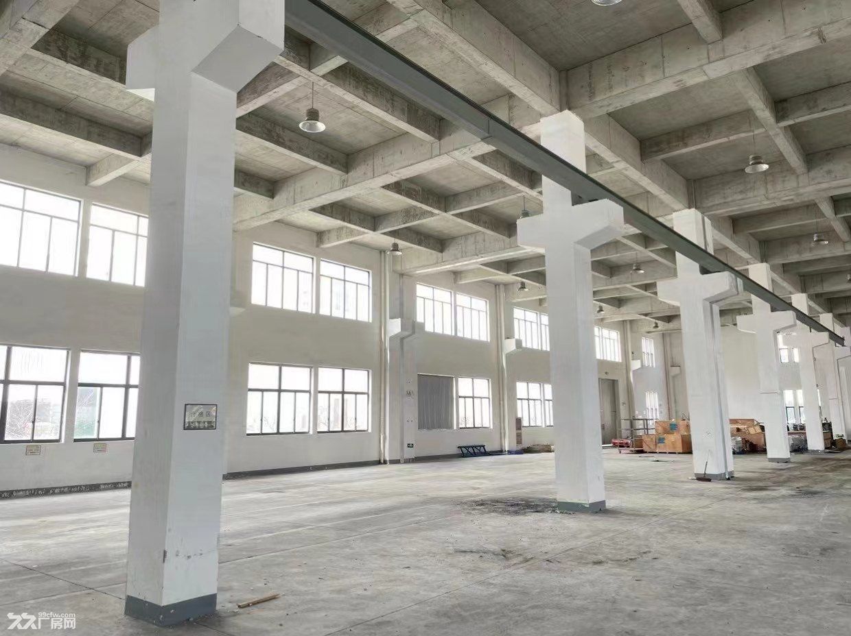 绍兴新昌厂房出售土地42亩建筑20000多平有证17000平4000万钢结构单层 - 3