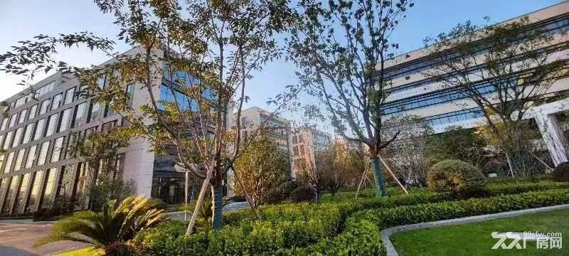 闵行工业园区人工智能产业园研发办公厂房租售,500平起租 - 5