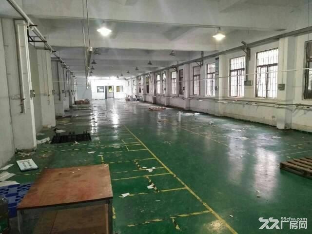 汝湖标准单一层厂房1200多平方仓库招租 - 2